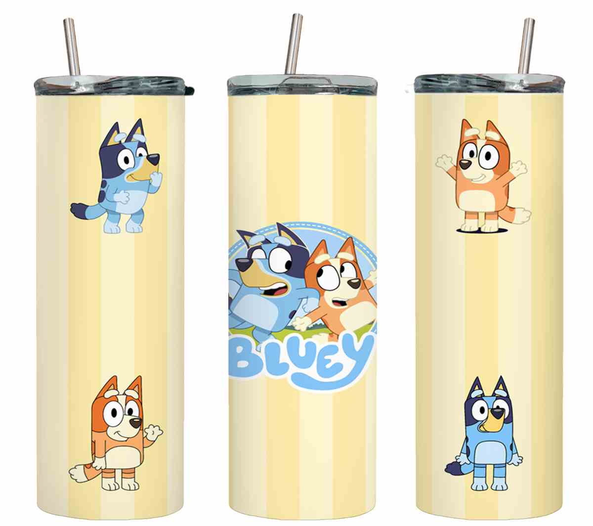 Bluey-8653